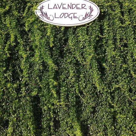 Lavender'S Lodge Hotel Kalkan Esterno foto
