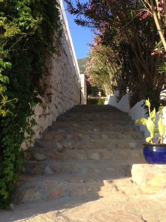 Lavender'S Lodge Hotel Kalkan Esterno foto