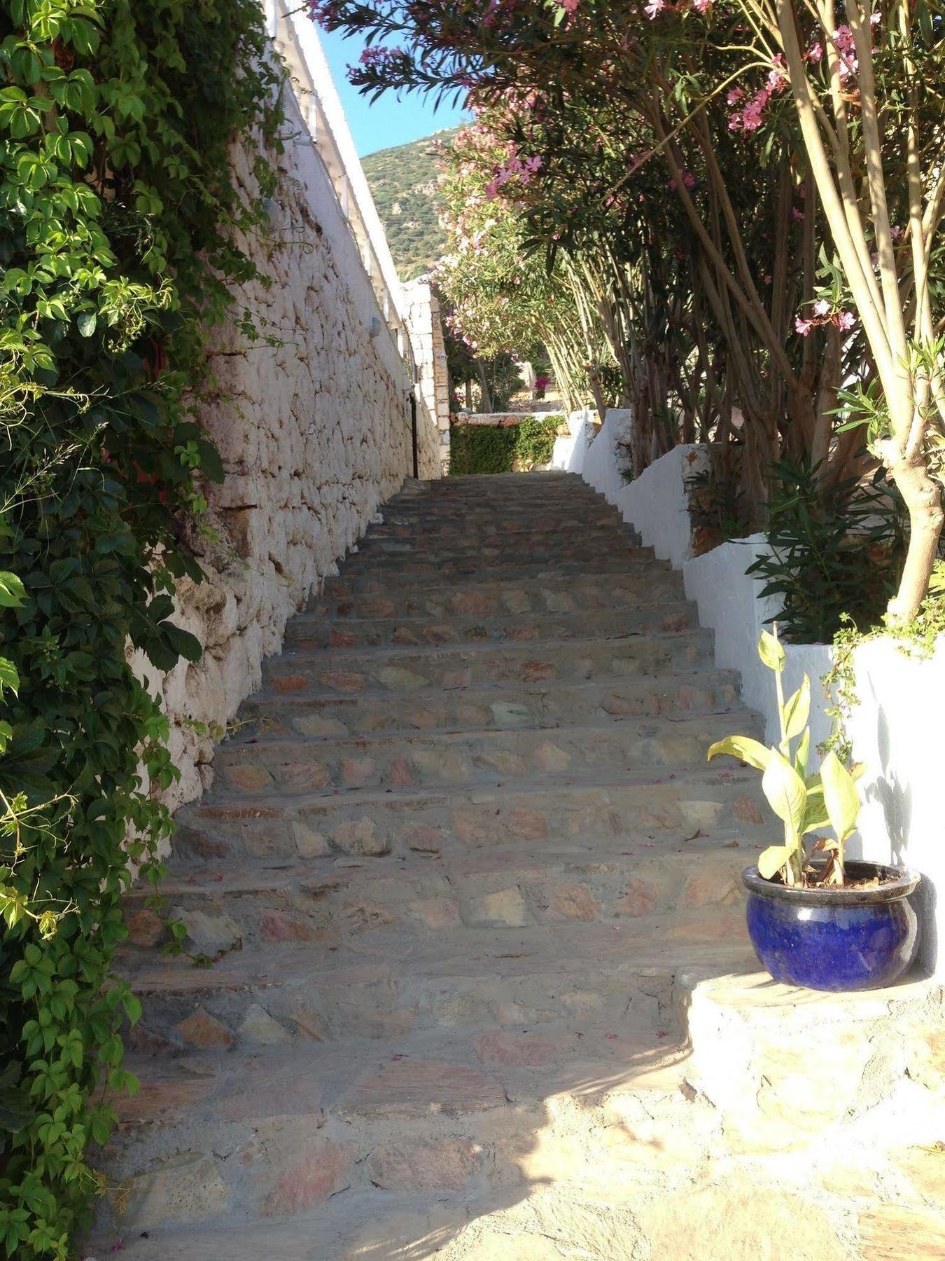 Lavender'S Lodge Hotel Kalkan Esterno foto