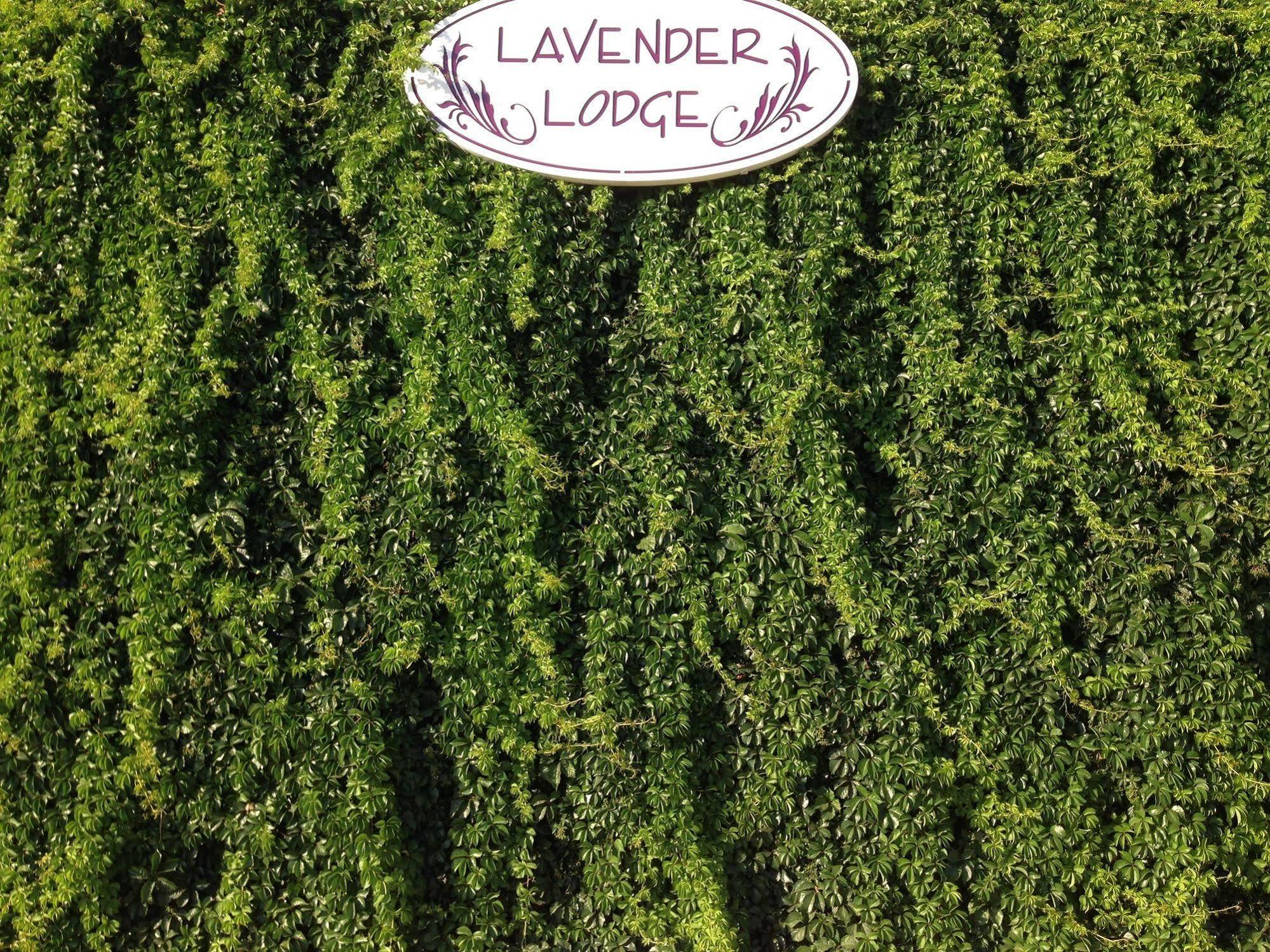 Lavender'S Lodge Hotel Kalkan Esterno foto